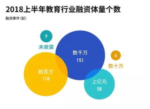 教育行業(yè)投融資熱潮中的隱形推手 誰在領跑教育軟件開發(fā)賽道？